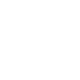 https://www.cmdaniel.com/wp-content/uploads/2018/05/gemini.png