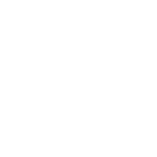 https://www.cmdaniel.com/wp-content/uploads/2018/05/leo.png